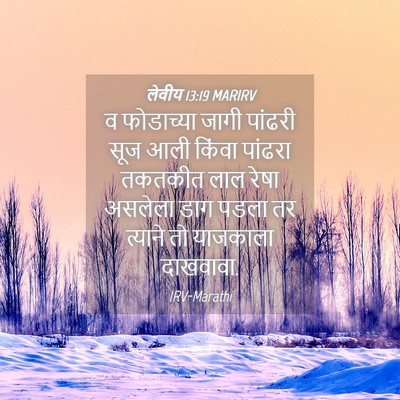 Picture 04 - लेवीय 13:19 MARIRV - व फोडाच्या जागी - Bible Verse Picture