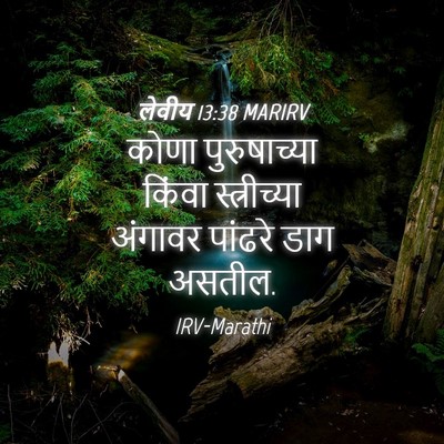 Picture 04 - लेवीय 13:38 MARIRV - कोणा पुरुषाच्या - Bible Verse Picture