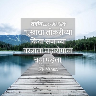 Picture 04 - लेवीय 13:47 MARIRV - “एखाद्या - Bible Verse Picture