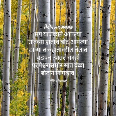 Picture 04 - लेवीय 14:16 MARIRV - मग याजकाने आपल्या - Bible Verse Picture