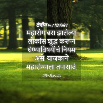 Picture 04 - लेवीय 14:2 MARIRV - महारोग बरा - Bible Verse Picture