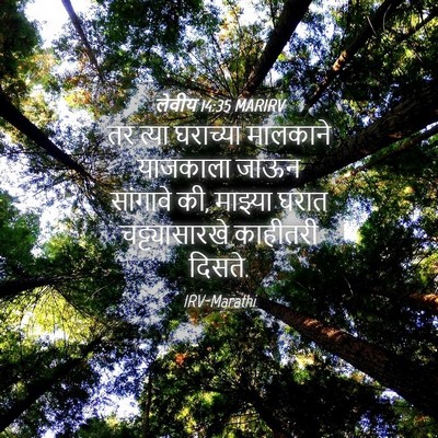 Picture 04 - लेवीय 14:35 MARIRV - तर त्या घराच्या - Bible Verse Picture