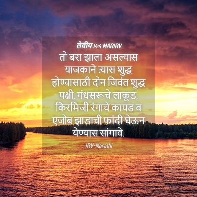 Picture 04 - लेवीय 14:4 MARIRV - तो बरा झाला - Bible Verse Picture