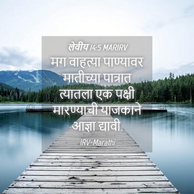 Picture 04 - लेवीय 14:5 MARIRV - मग वाहत्या - Bible Verse Picture
