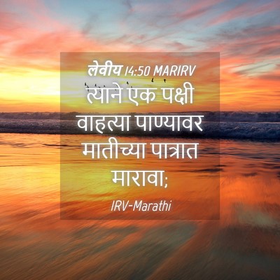 Picture 04 - लेवीय 14:50 MARIRV - त्याने एक पक्षी - Bible Verse Picture