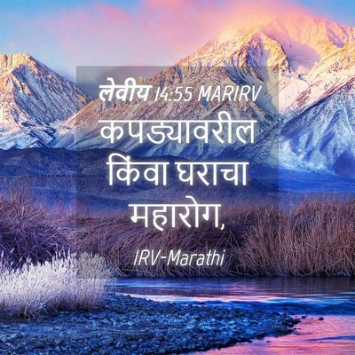 Picture 04 - लेवीय 14:55 MARIRV - कपड्यावरील किंवा - Bible Verse Picture