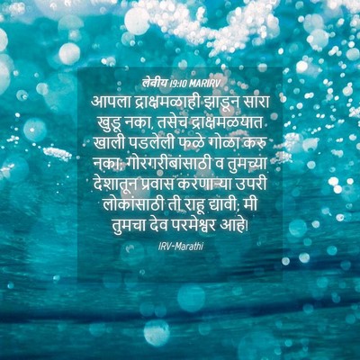 Picture 04 - लेवीय 19:10 MARIRV - आपला द्राक्षमळाही - Bible Verse Picture
