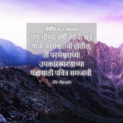 Picture 04 - लेवीय 19:24 MARIRV - पण चौथ्या वर्षी - Bible Verse Picture