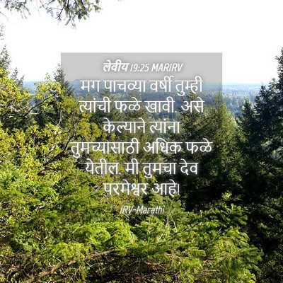 Picture 04 - लेवीय 19:25 MARIRV - मग पाचव्या वर्षी - Bible Verse Picture