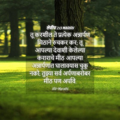 Picture 04 - लेवीय 2:13 MARIRV - तू करशील ते - Bible Verse Picture