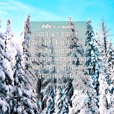 Picture 04 - लेवीय 22:24 MARIRV - ज्याचे अंड - Bible Verse Picture