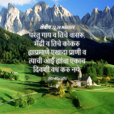 Picture 04 - लेवीय 22:28 MARIRV - परंतु गाय व तिचे - Bible Verse Picture