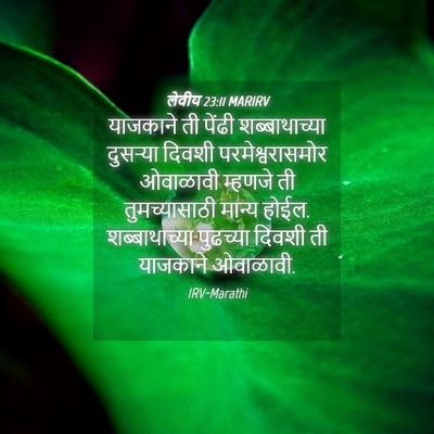 Picture 04 - लेवीय 23:11 MARIRV - याजकाने ती पेंढी - Bible Verse Picture
