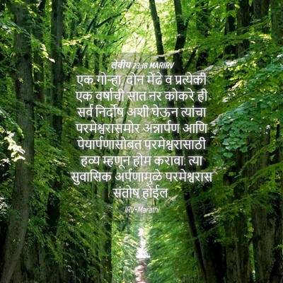 Picture 04 - लेवीय 23:18 MARIRV - एक गोऱ्हा, दोन - Bible Verse Picture