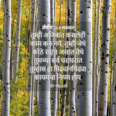 Picture 04 - लेवीय 23:31 MARIRV - तुम्ही अजिबात - Bible Verse Picture