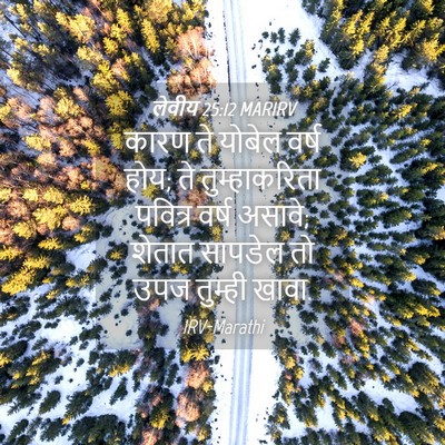 Picture 04 - लेवीय 25:12 MARIRV - कारण ते योबेल वर्ष - Bible Verse Picture