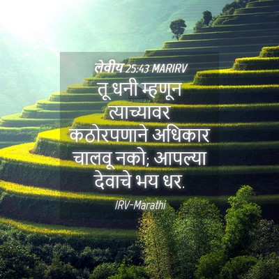 Picture 04 - लेवीय 25:43 MARIRV - तू धनी म्हणून - Bible Verse Picture