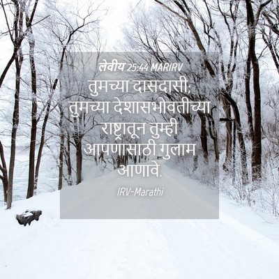 Picture 04 - लेवीय 25:44 MARIRV - तुमच्या दासदासी; - Bible Verse Picture