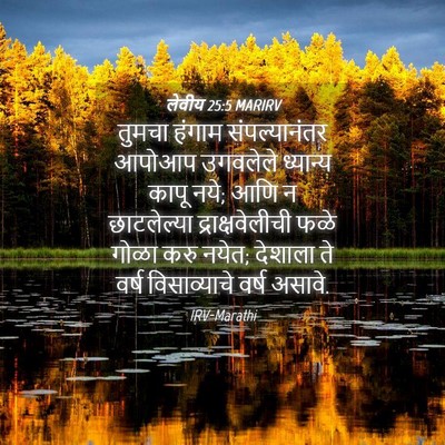 Picture 04 - लेवीय 25:5 MARIRV - तुमचा हंगाम - Bible Verse Picture
