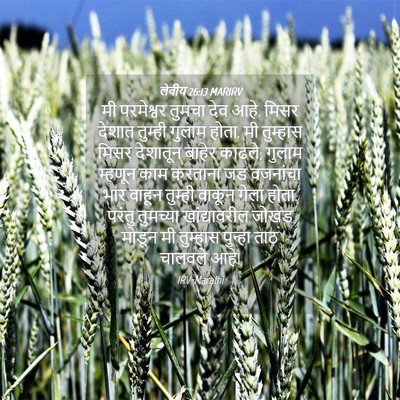 Picture 04 - लेवीय 26:13 MARIRV - मी परमेश्वर तुमचा - Bible Verse Picture