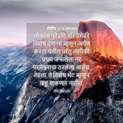Picture 04 - लेवीय 27:26 MARIRV - लोकांस गुरेढोरे, - Bible Verse Picture