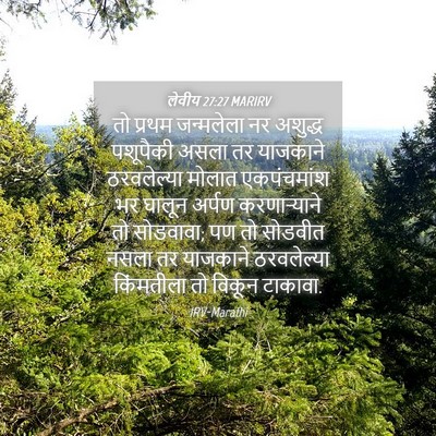 Picture 04 - लेवीय 27:27 MARIRV - तो प्रथम जन्मलेला - Bible Verse Picture