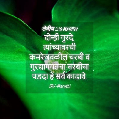 Picture 04 - लेवीय 3:10 MARIRV - दोन्ही गुरदे, - Bible Verse Picture