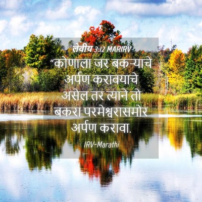 Picture 04 - लेवीय 3:12 MARIRV - “कोणाला जर - Bible Verse Picture
