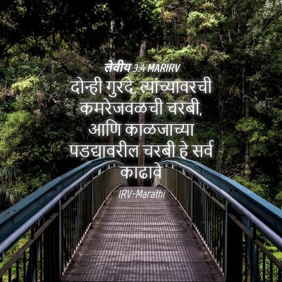 Picture 04 - लेवीय 3:4 MARIRV - दोन्ही गुरदे, - Bible Verse Picture