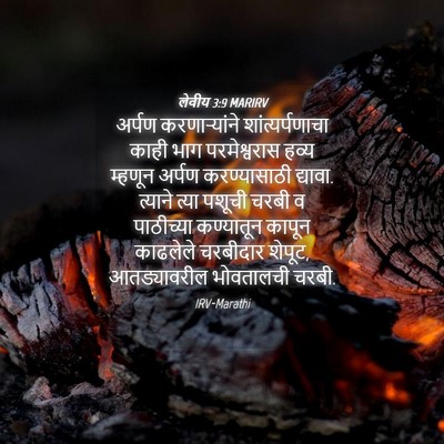 Picture 04 - लेवीय 3:9 MARIRV - अर्पण करणाऱ्यांने - Bible Verse Picture