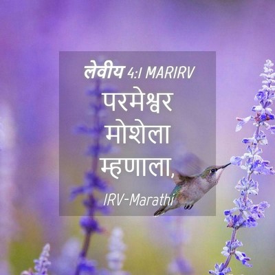 Picture 04 - लेवीय 4:1 MARIRV - परमेश्वर मोशेला - Bible Verse Picture