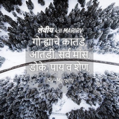 Picture 04 - लेवीय 4:11 MARIRV - गोऱ्ह्याचे कातडे, - Bible Verse Picture
