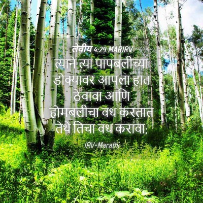 Picture 04 - लेवीय 4:29 MARIRV - त्याने त्या - Bible Verse Picture
