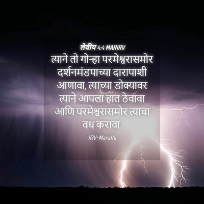 Picture 04 - लेवीय 4:4 MARIRV - त्याने तो गोऱ्हा - Bible Verse Picture