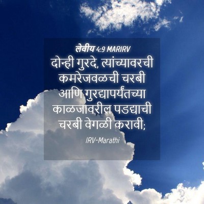 Picture 04 - लेवीय 4:9 MARIRV - दोन्ही गुरदे, - Bible Verse Picture