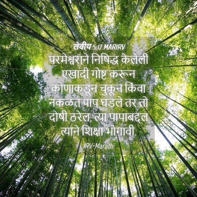 Picture 04 - लेवीय 5:17 MARIRV - परमेश्वराने - Bible Verse Picture