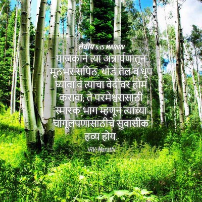 Picture 04 - लेवीय 6:15 MARIRV - याजकाने त्या - Bible Verse Picture