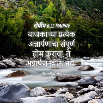 Picture 04 - लेवीय 6:23 MARIRV - याजकाच्या - Bible Verse Picture