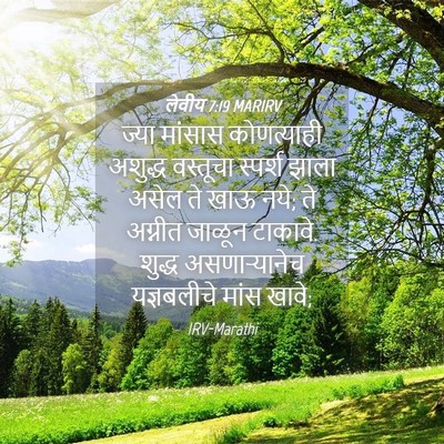 Picture 04 - लेवीय 7:19 MARIRV - ज्या मांसास - Bible Verse Picture