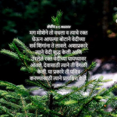 Picture 04 - लेवीय 8:15 MARIRV - मग मोशेने तो वधला व - Bible Verse Picture