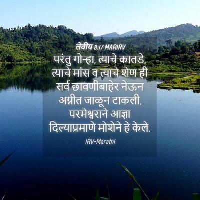 Picture 04 - लेवीय 8:17 MARIRV - परंतु गोऱ्हा, - Bible Verse Picture