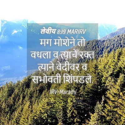 Picture 04 - लेवीय 8:19 MARIRV - मग मोशेने तो वधला व - Bible Verse Picture