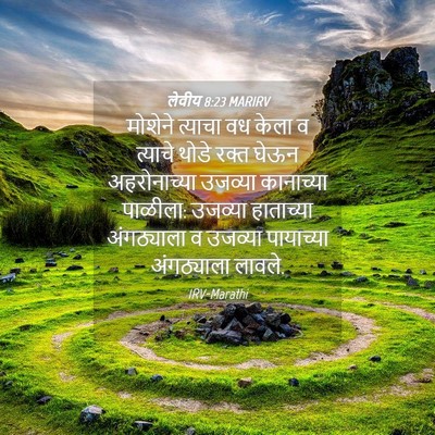 Picture 04 - लेवीय 8:23 MARIRV - मोशेने त्याचा वध - Bible Verse Picture