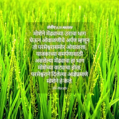 Picture 04 - लेवीय 8:29 MARIRV - मोशेने - Bible Verse Picture