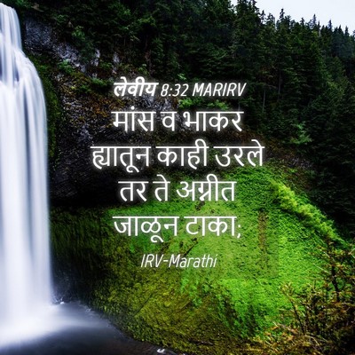 Picture 04 - लेवीय 8:32 MARIRV - मांस व भाकर - Bible Verse Picture