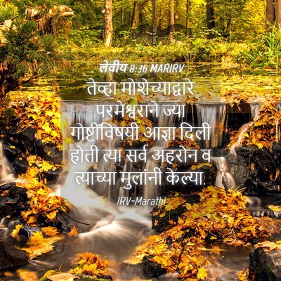 Picture 04 - लेवीय 8:36 MARIRV - तेव्हा - Bible Verse Picture