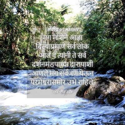 Picture 04 - लेवीय 9:5 MARIRV - मग मोशेने आज्ञा - Bible Verse Picture