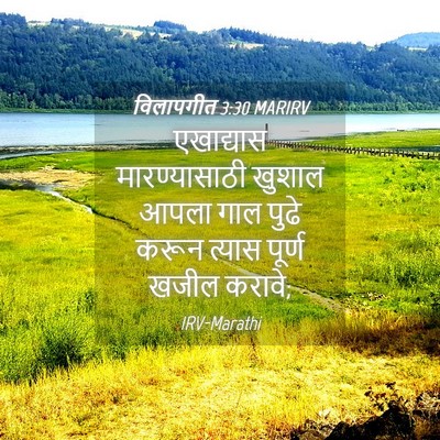 Picture 04 - विलापगीत 3:30 MARIRV - एखाद्यास - Bible Verse Picture
