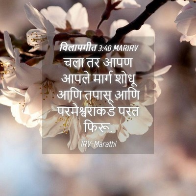 Picture 04 - विलापगीत 3:40 MARIRV - चला तर आपण आपले - Bible Verse Picture