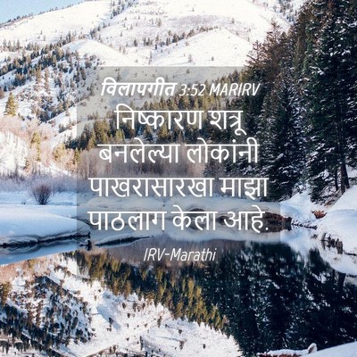 Picture 04 - विलापगीत 3:52 MARIRV - निष्कारण शत्रू - Bible Verse Picture